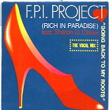 FPI Project - Rich In Paradise 
